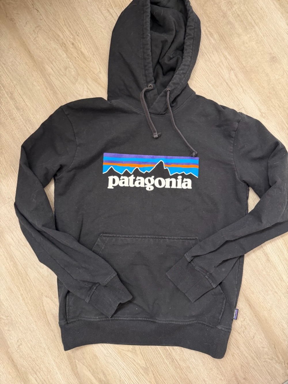 Patagonia Black Pullover Hoodie with Multicolor Mountain Stripe